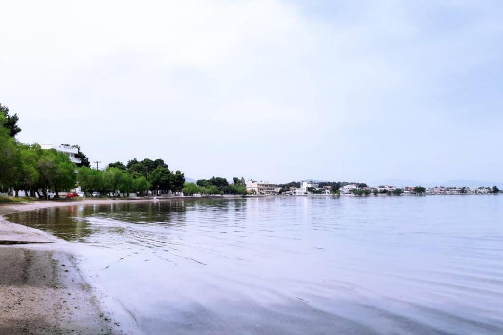 Πολυτελές Διαμέρισμα 2 Χαλκίδα-Παραλία Αυλίδος Paralia Avlidhos Buitenkant foto