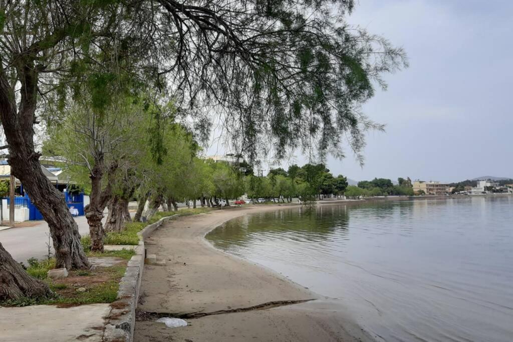 Πολυτελές Διαμέρισμα 2 Χαλκίδα-Παραλία Αυλίδος Paralia Avlidhos Buitenkant foto